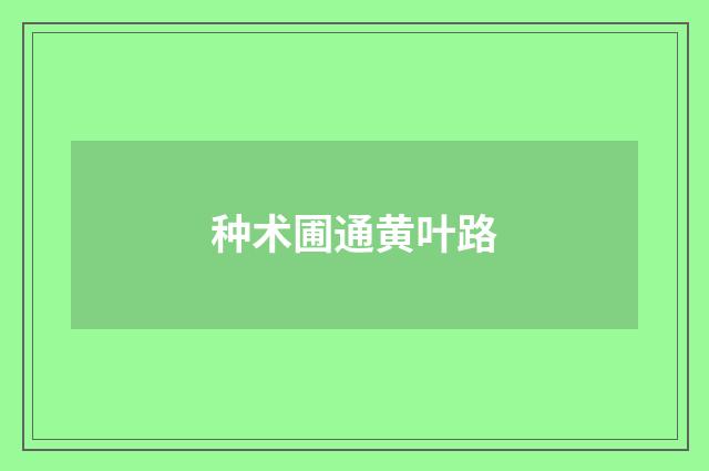 种术圃通黄叶路