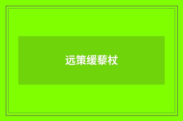 远策缓藜杖