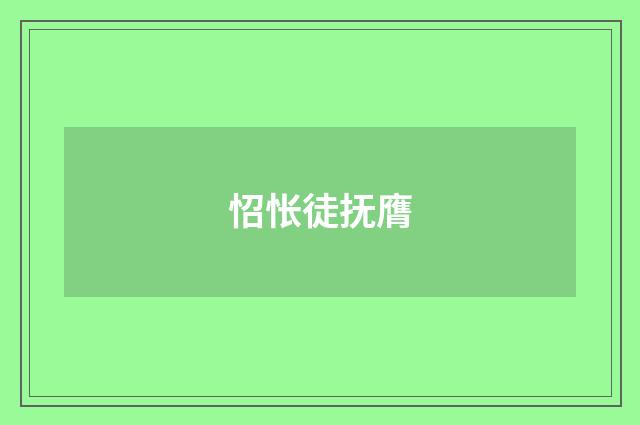 怊怅徒抚膺