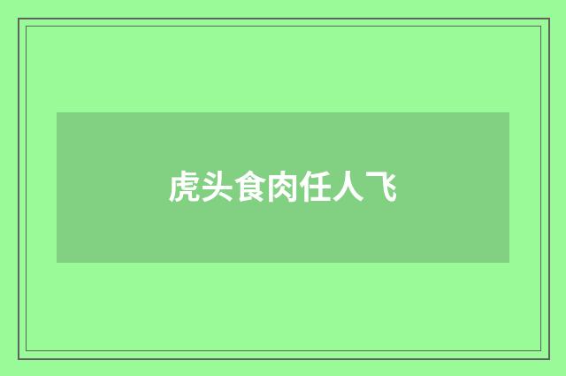 虎头食肉任人飞