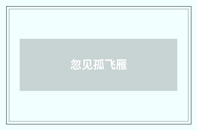 忽见孤飞雁