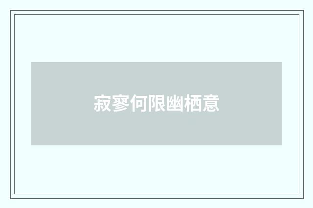 寂寥何限幽栖意