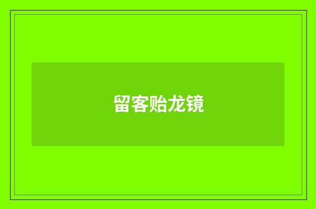 留客贻龙镜