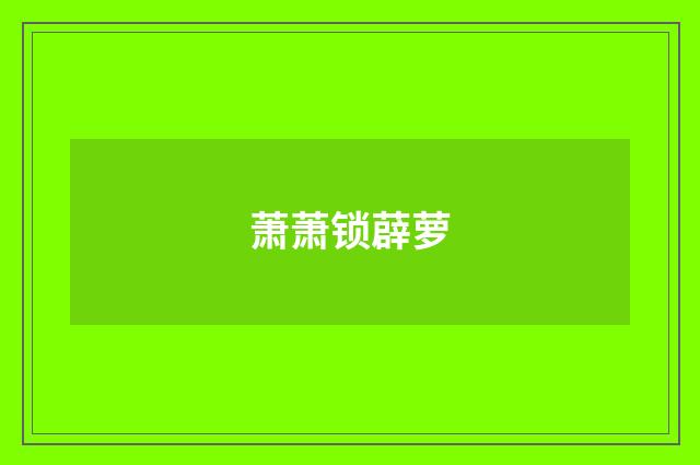萧萧锁薜萝