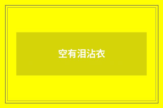空有泪沾衣