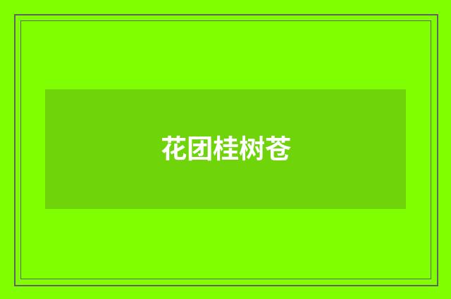 花团桂树苍