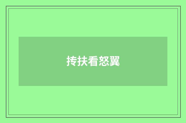 抟扶看怒翼