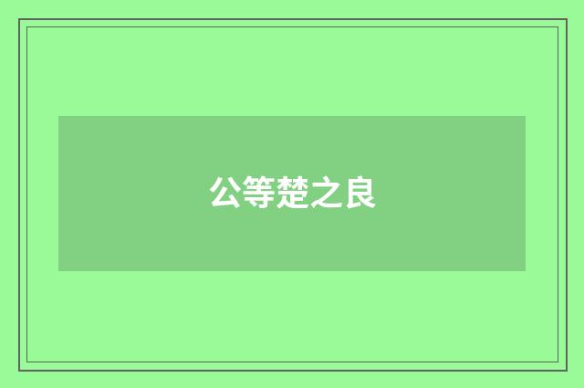 公等楚之良