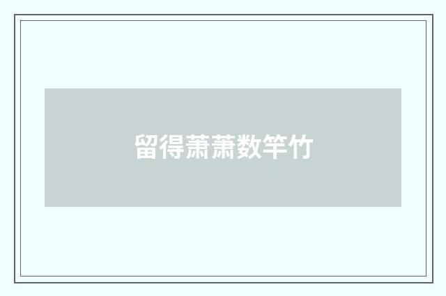 留得萧萧数竿竹