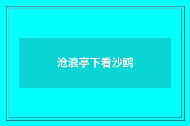 沧浪亭下看沙鸥