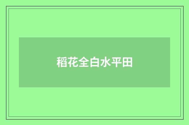 稻花全白水平田