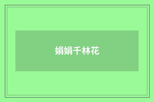 娟娟千林花