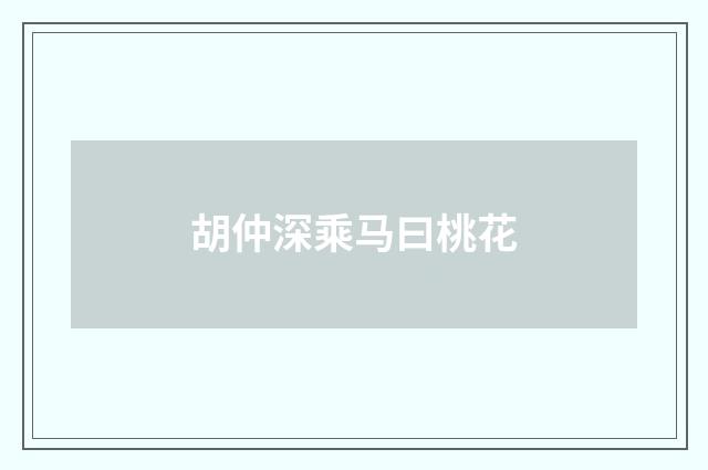 胡仲深乘马曰桃花