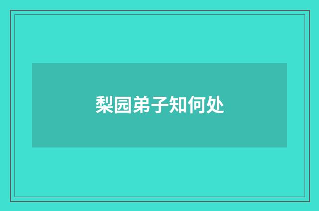 梨园弟子知何处