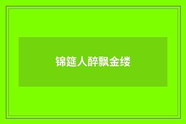 锦筵人醉飘金缕