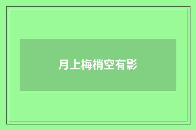 月上梅梢空有影