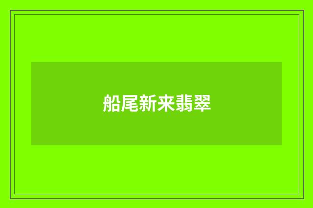 船尾新来翡翠