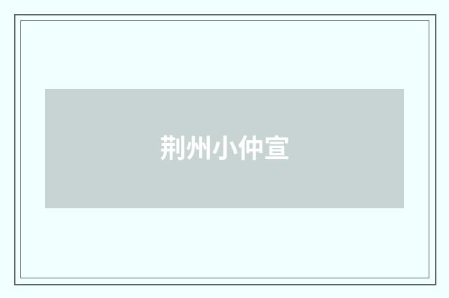 荆州小仲宣