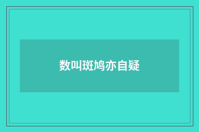 数叫斑鸠亦自疑