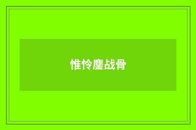 惟怜鏖战骨