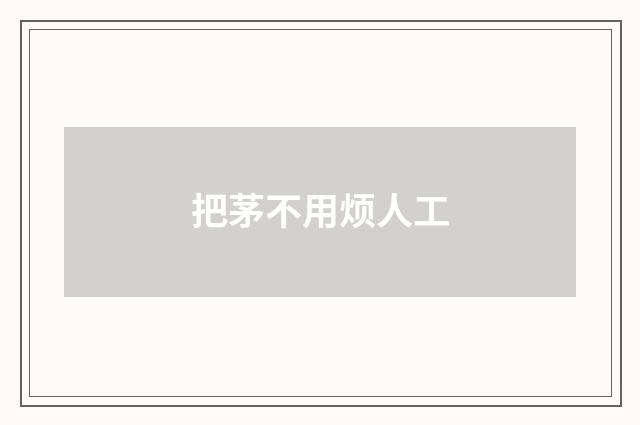 把茅不用烦人工