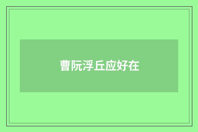 曹阮浮丘应好在
