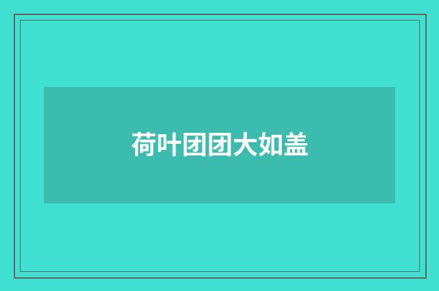 荷叶团团大如盖