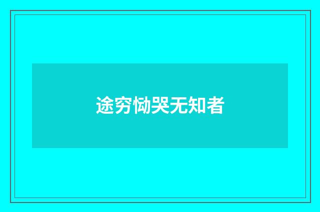 途穷恸哭无知者
