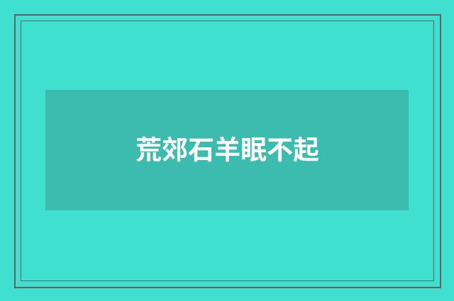 荒郊石羊眠不起