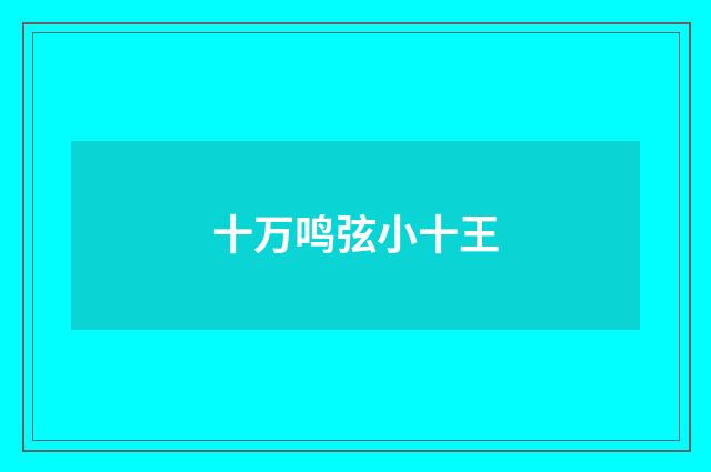 十万鸣弦小十王