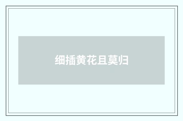 细插黄花且莫归