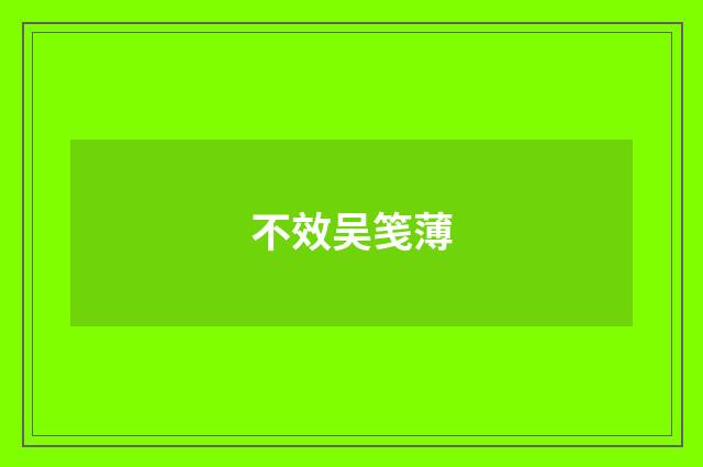 不效吴笺薄