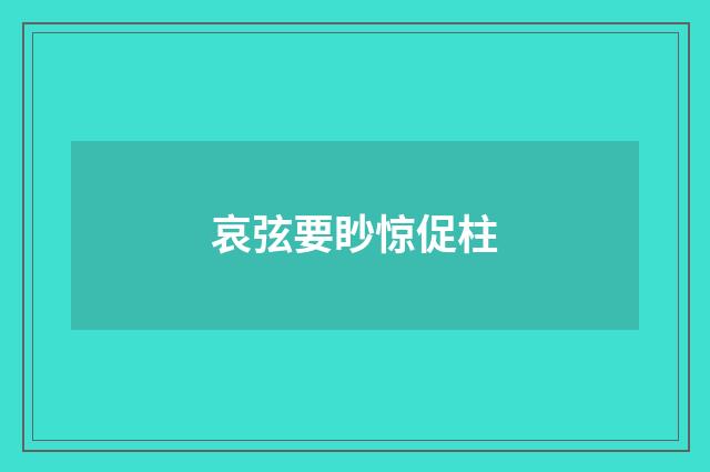 哀弦要眇惊促柱