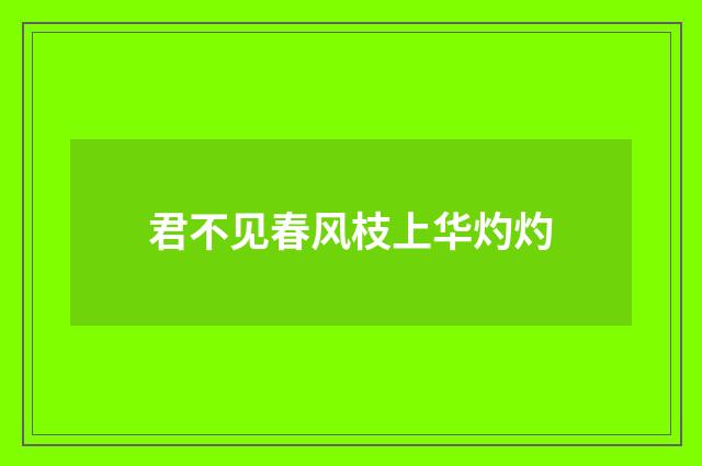 君不见春风枝上华灼灼