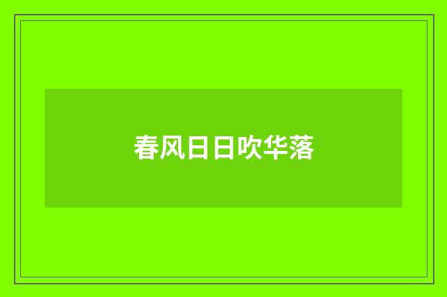 春风日日吹华落