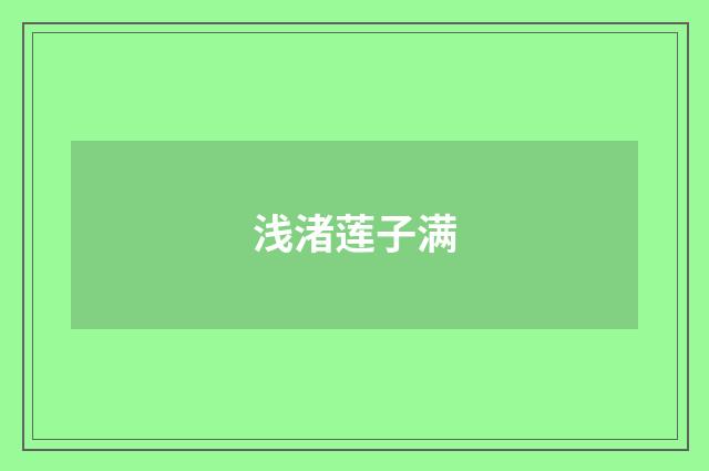 浅渚莲子满
