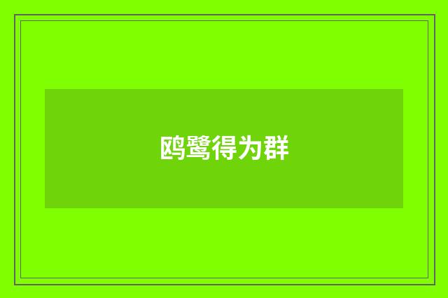 鸥鹭得为群