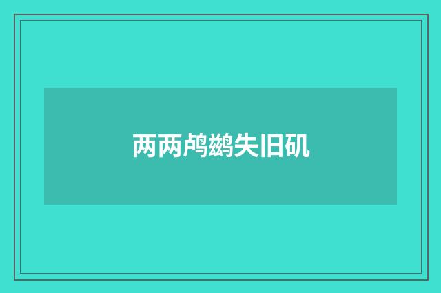 两两鸬鹚失旧矶