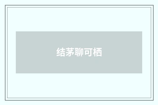结茅聊可栖