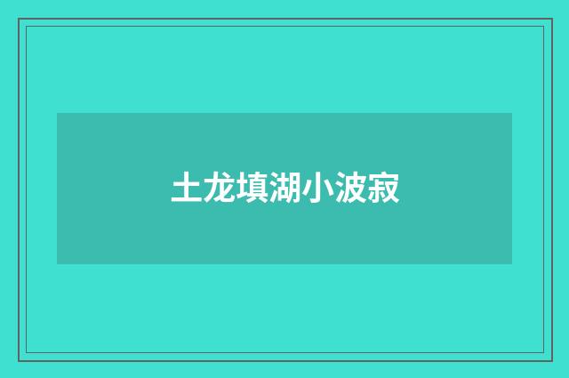 土龙填湖小波寂