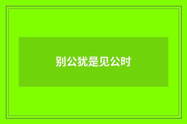 别公犹是见公时