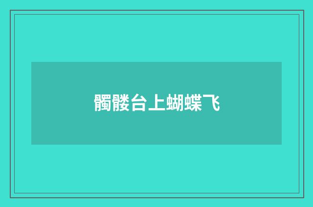髑髅台上蝴蝶飞