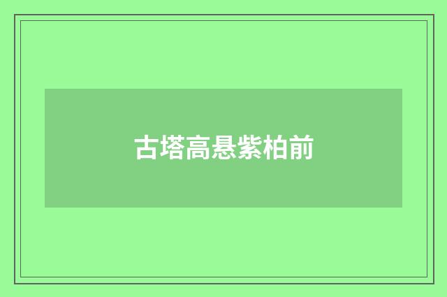古塔高悬紫柏前