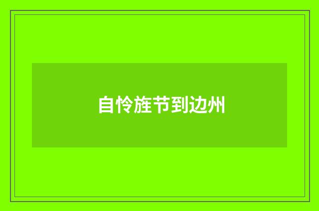 自怜旌节到边州
