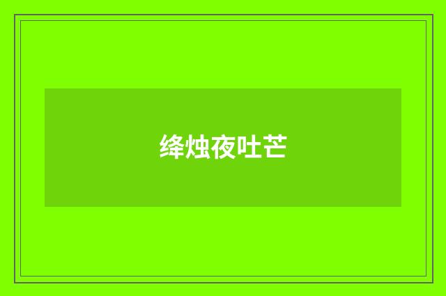 绛烛夜吐芒