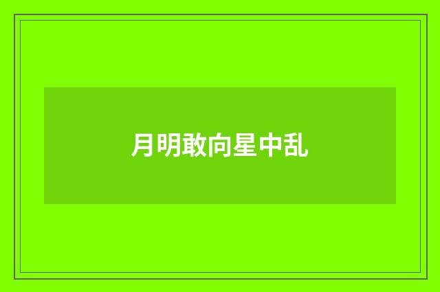 月明敢向星中乱