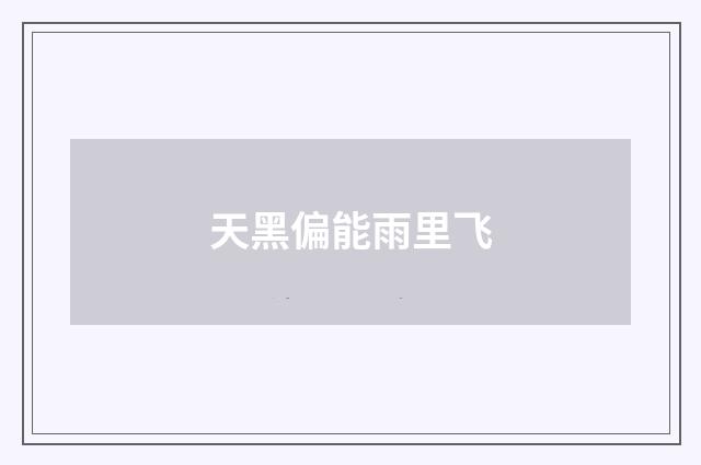 天黑偏能雨里飞