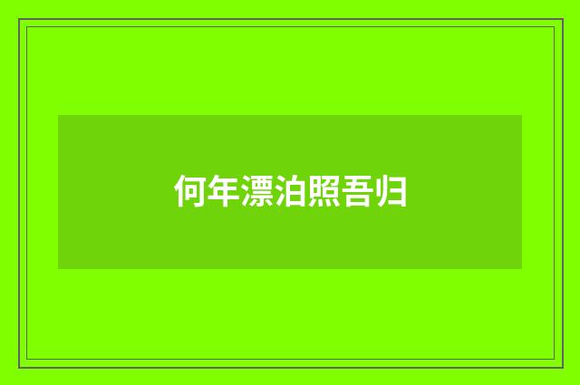 何年漂泊照吾归