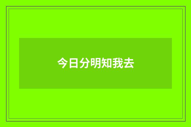 今日分明知我去