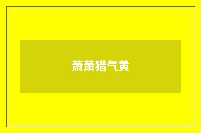 萧萧猎气黄